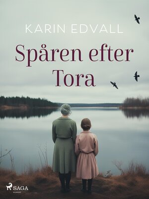 cover image of Spåren efter Tora